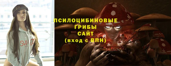 амф Богородск