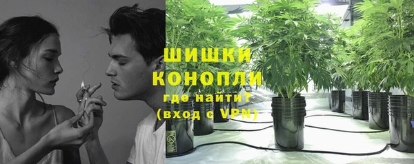 соль ск Богородицк