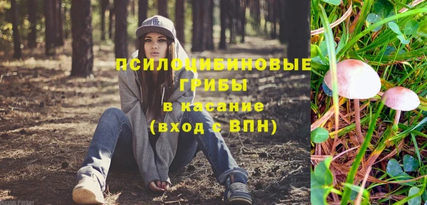 амф Богородск