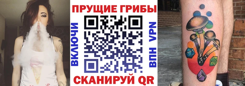 Галлюциногенные грибы мицелий  где купить   Светлогорск 